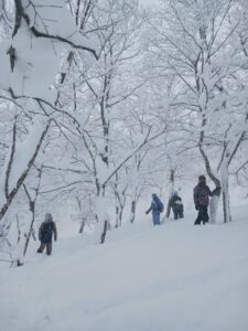Snowboard in Giappone - Honshu - Federico Resega