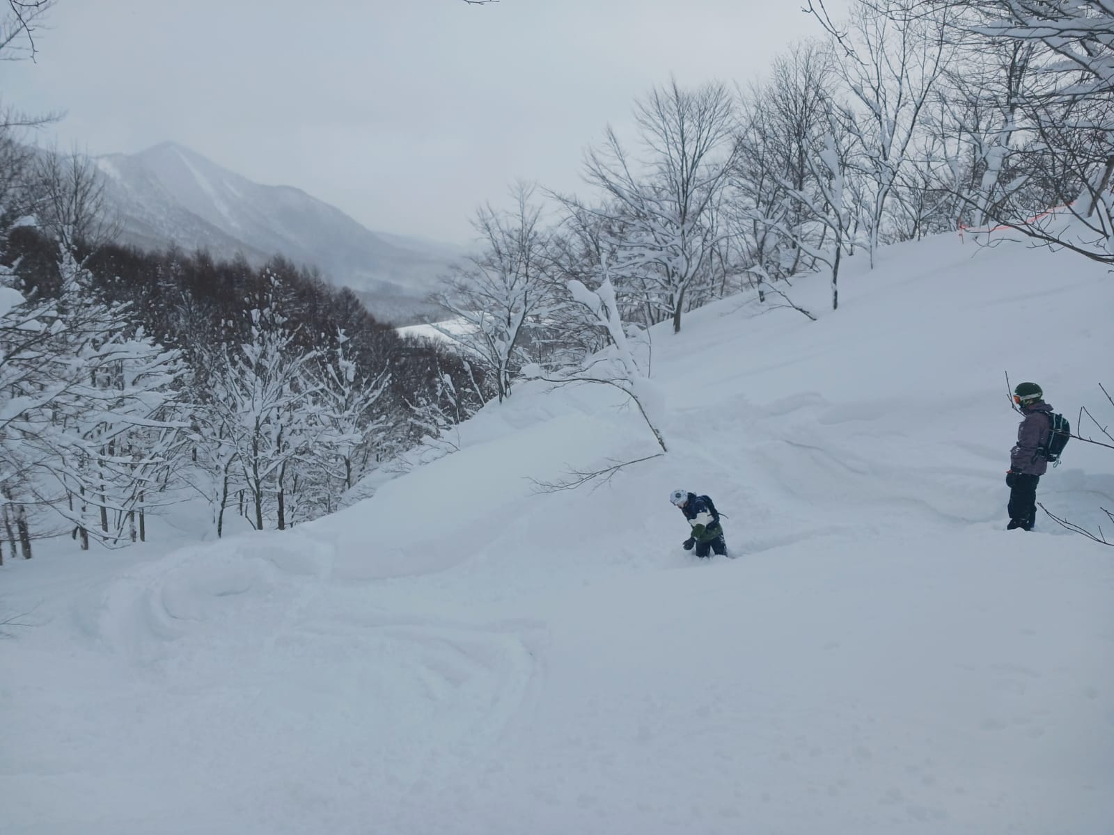 Snowboard in Giappone - Honshu - Federico Resega