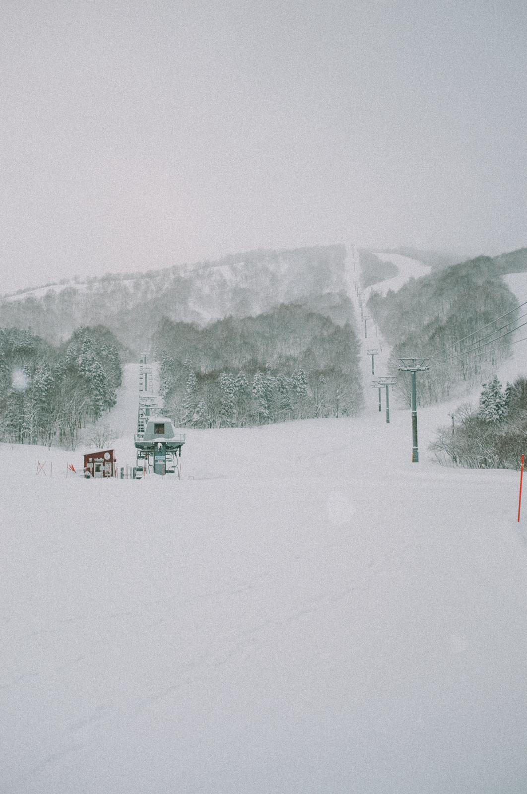 Snowboard in Giappone - Honshu - Federico Resega